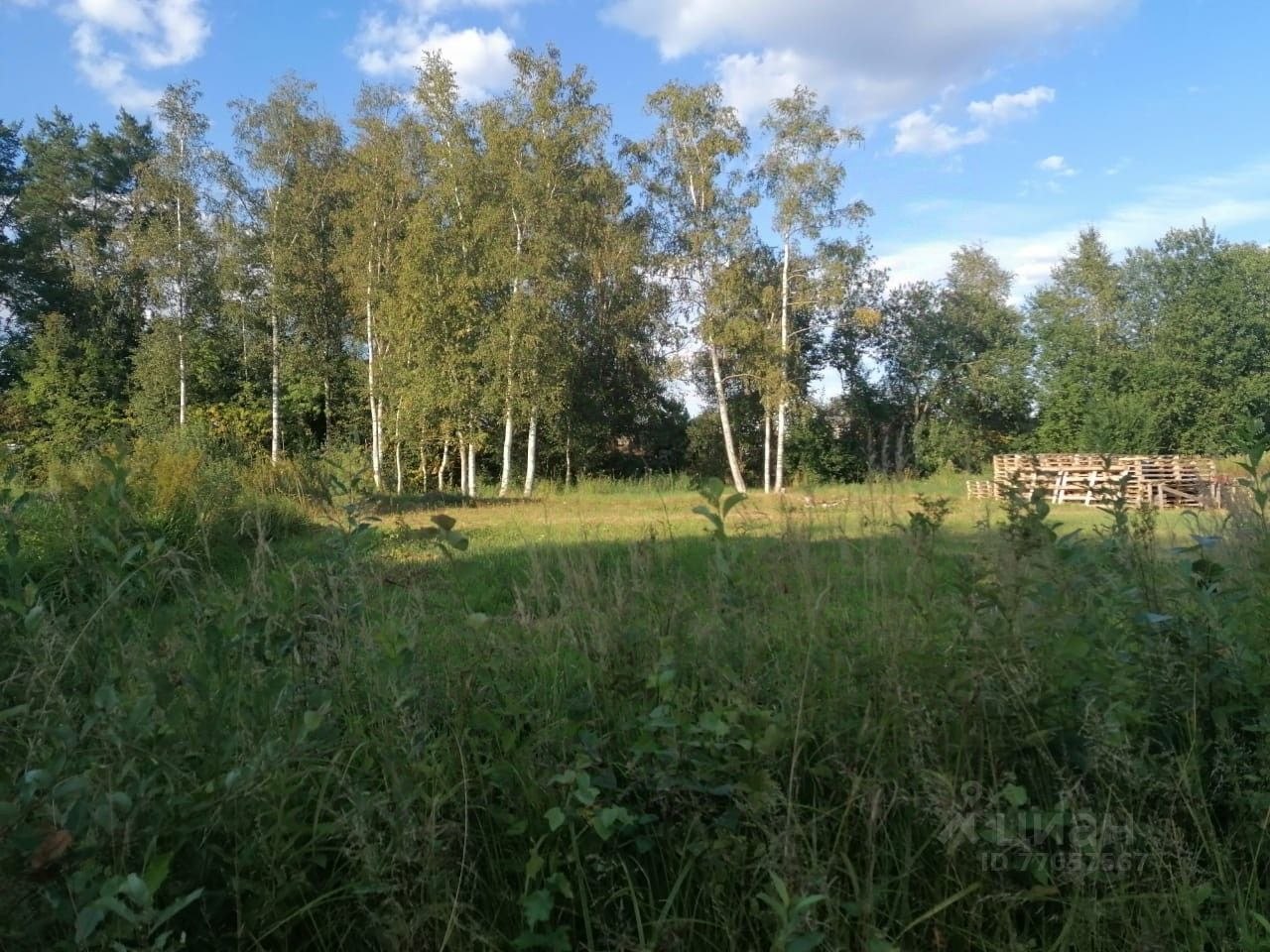 Купить участок на карте в поселке городского типа Синявино в Кировском  районе в Ленинградской области — 57 объявлений о продаже участков на  МирКвартир с ценами и фото