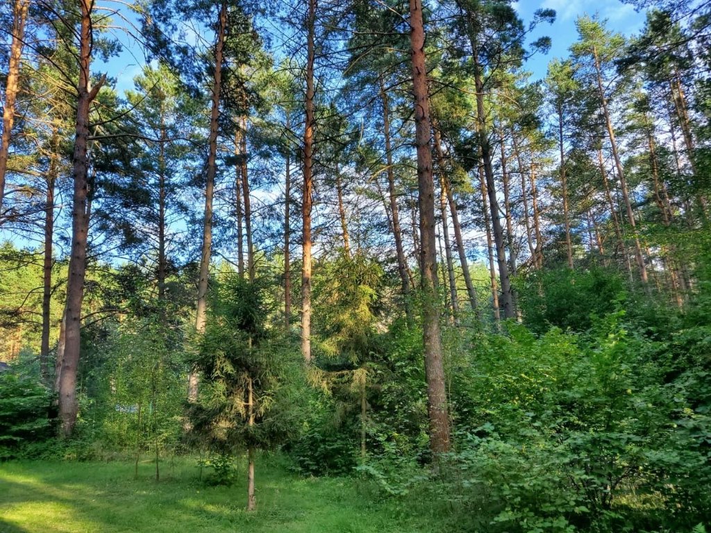 Купить загородную недвижимость в деревне Боброво в Зубцовском районе в  Тверской области — 27 объявлений о продаже загородной недвижимости на  МирКвартир с ценами и фото