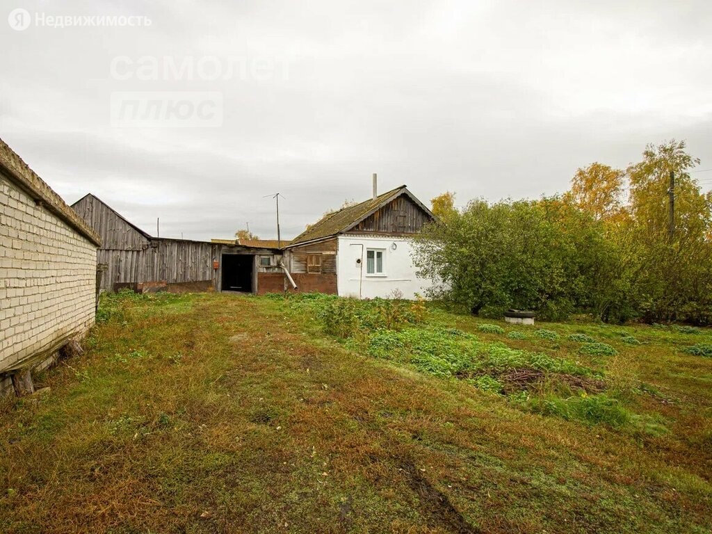 дом в селе степное анненково (99) фото