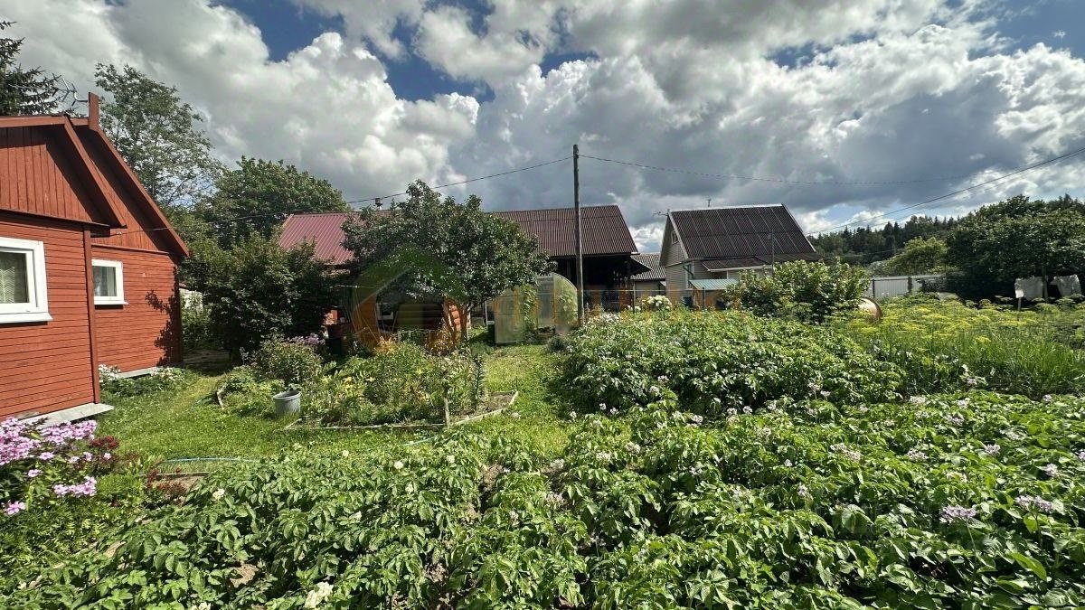 Купить дом на Шоферской улице в деревне Сяськелево в Гатчинском районе — 37  объявлений о продаже загородных домов на МирКвартир с ценами и фото