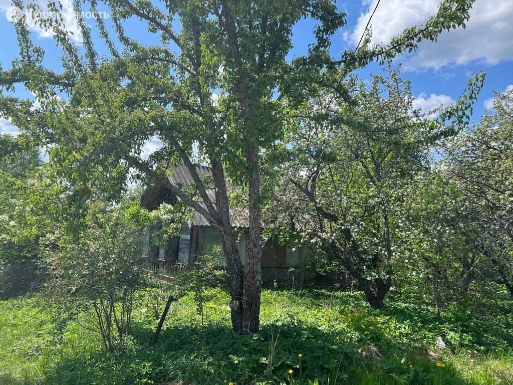 Купить участок в поселке Торковичи в Лужском районе в Ленинградской области  — 15 объявлений о продаже участков на МирКвартир с ценами и фото