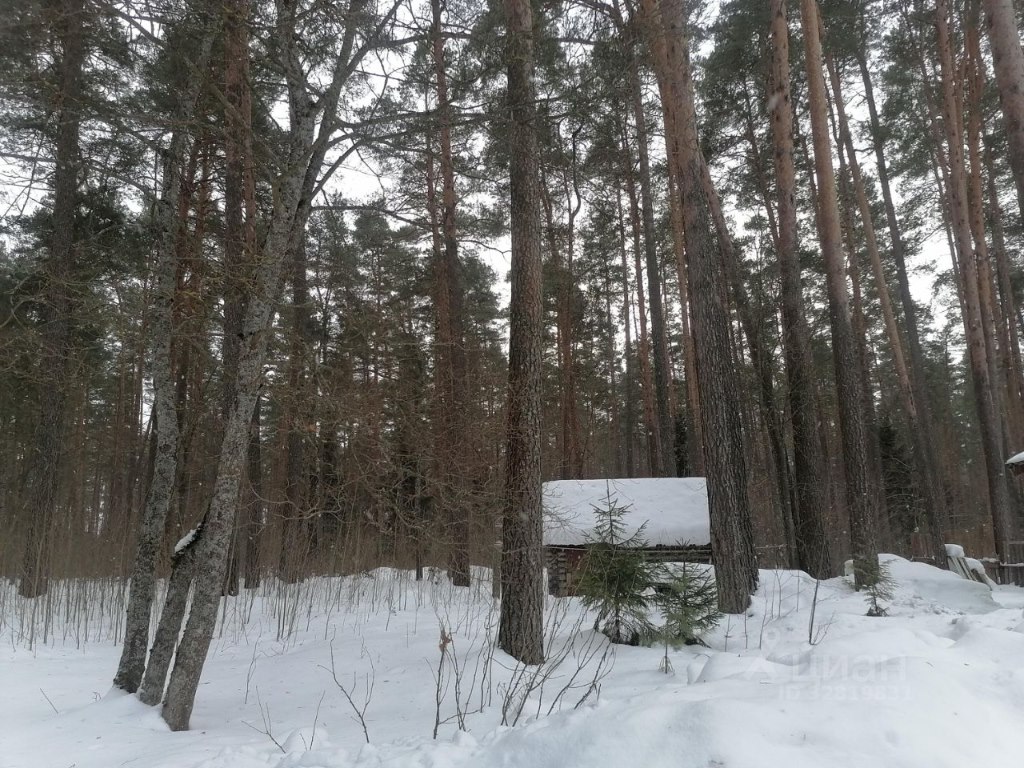 Купить квартиру в территории Дачный поселок Тверца в Тверской области — 12  объявлений по продаже квартир на МирКвартир