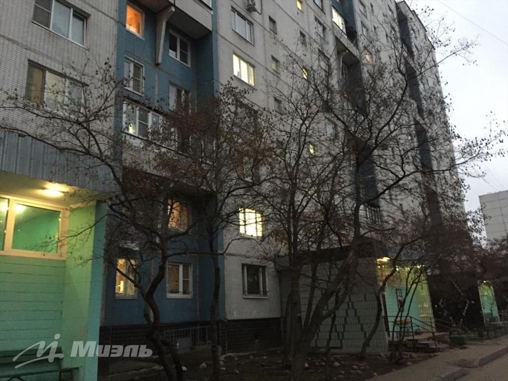 Селезнева 8. Селезнева 8. Селезнева 8. Селезнева 214 краснодар. Селезнева 8 краснодар.