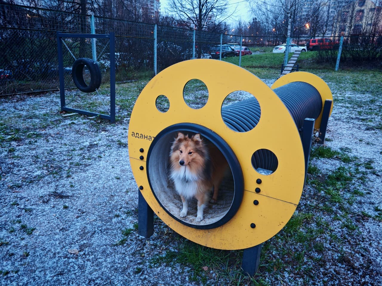 Площадки для выгула и дрессировки собак – новая норма для современного ЖК. Фото: Мир Квартир
